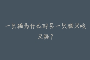 一只猫为什么对另一只猫又咬又舔?