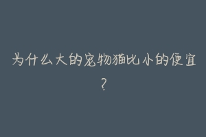 为什么大的宠物猫比小的便宜?