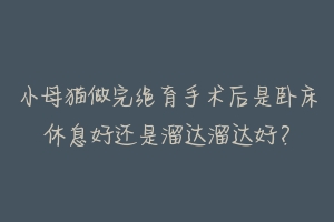 小母猫做完绝育手术后是卧床休息好还是溜达溜达好?