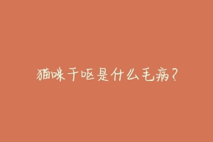 猫咪干呕是什么毛病?
