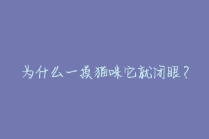 为什么一摸猫咪它就闭眼?