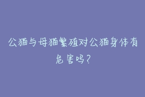 公猫与母猫繁殖对公猫身体有危害吗?