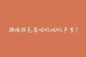 猫咪舔毛有咕叽咕叽声音?
