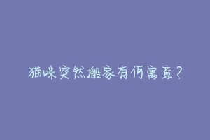猫咪突然搬家有何寓意?