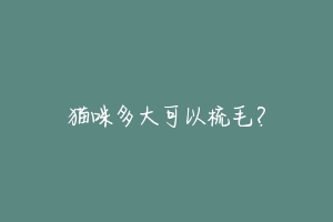 猫咪多大可以梳毛?