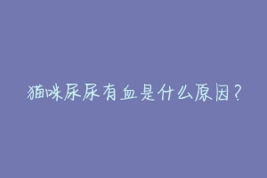 猫咪尿尿有血是什么原因?