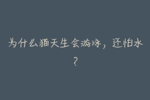 为什么猫天生会游泳,还怕水?