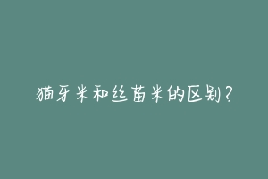 猫牙米和丝苗米的区别?