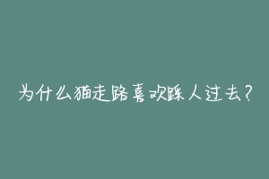 为什么猫走路喜欢踩人过去?