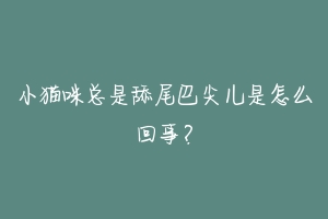 小猫咪总是舔尾巴尖儿是怎么回事?
