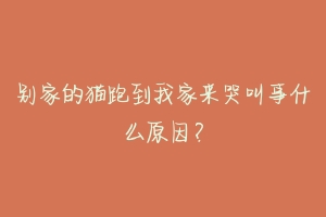 别家的猫跑到我家来哭叫事什么原因?