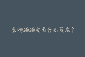 亲吻猫猫会有什么反应?