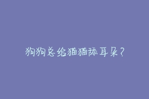 狗狗总给猫猫舔耳朵?