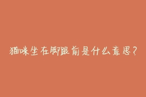猫咪坐在脚跟前是什么意思?