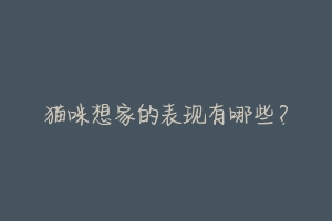 猫咪想家的表现有哪些?