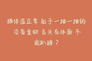 猫体温正常 肚子一抽一抽的 没有食欲 舌头在外面 不能趴睡 ?