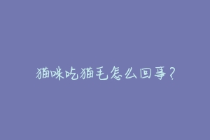 猫咪吃猫毛怎么回事?