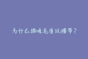 为什么猫咪老爱玩腰带？