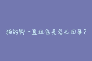 猫的脚一直扭伤是怎么回事?