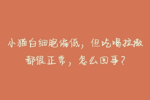 小猫白细胞偏低，但吃喝拉撒都很正常，怎么回事？