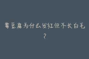 霉豆腐为什么发红但不长白毛？