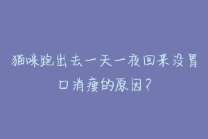 猫咪跑出去一天一夜回来没胃口消瘦的原因?