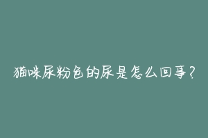 猫咪尿粉色的尿是怎么回事?