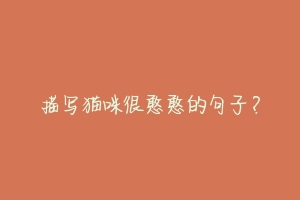 描写猫咪很憨憨的句子?
