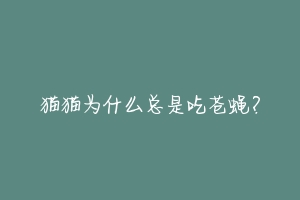 猫猫为什么总是吃苍蝇?