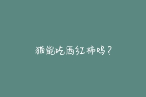 猫能吃西红柿吗?