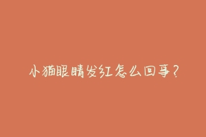 小猫眼睛发红怎么回事?