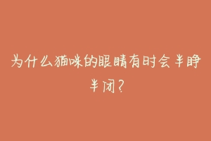 为什么猫咪的眼睛有时会半睁半闭?