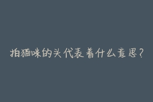 拍猫咪的头代表着什么意思?
