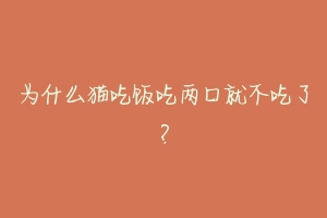 为什么猫吃饭吃两口就不吃了?