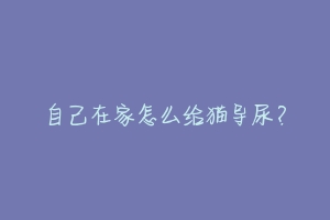 自己在家怎么给猫导尿?