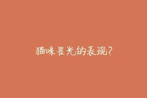 猫咪畏光的表现?
