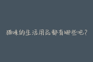 猫咪的生活用品都有哪些吧?