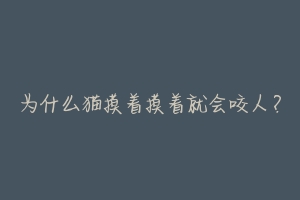 为什么猫摸着摸着就会咬人?