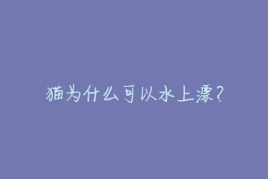 猫为什么可以水上漂?