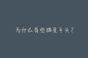 为什么有些猫是平头?