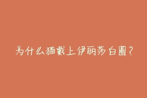 为什么猫戴上伊丽莎白圈?