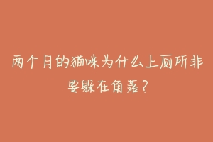 两个月的猫咪为什么上厕所非要躲在角落?