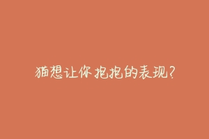 猫想让你抱抱的表现?
