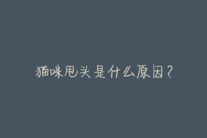 猫咪甩头是什么原因?