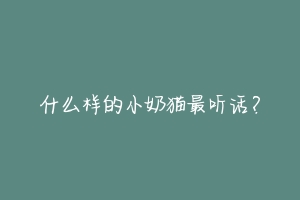什么样的小奶猫最听话？