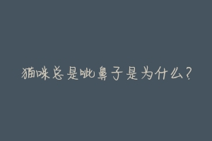 猫咪总是呲鼻子是为什么?