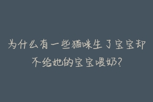 为什么有一些猫咪生了宝宝却不给她的宝宝喂奶?