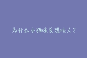为什么小猫咪总想咬人?