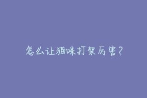 怎么让猫咪打架厉害？