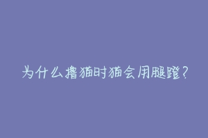 为什么撸猫时猫会用腿蹬?